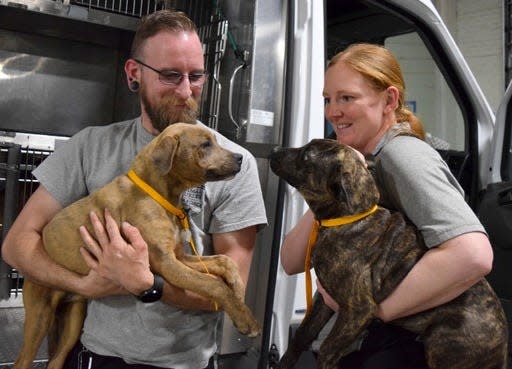 The Humane Society of Missouri’s Animal Cruelty Task Force conducted a rescue of 19 dogs from an unlicensed breeder in Urbana, MO.