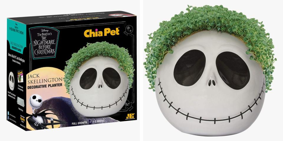 Photo credit: Chia Pet