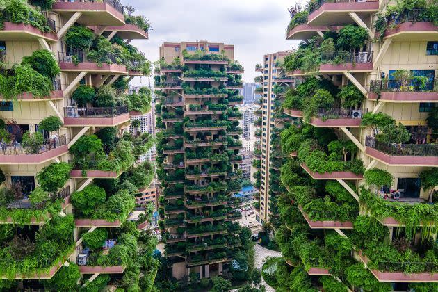 <p>Des bâtiments résidentiels "végétalisés" du sud-ouest de la Chine, avec plantes luxuriantes sur les balcons des appartements, se retrouvent envahis par leur propre végétation au point d'être fuis par leurs résidents, à Chengdu, en Chine. </p>