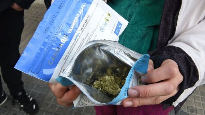 Flores de cannabis envasadas para la venta en Uruguay. Se pueden comprar para uso recreacional (no médico) en la farmacia “en estado natural, desecadas, sin moler ni prensar”. (Foto: Getty)