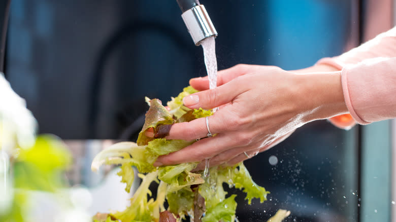 washing lettuce in running water