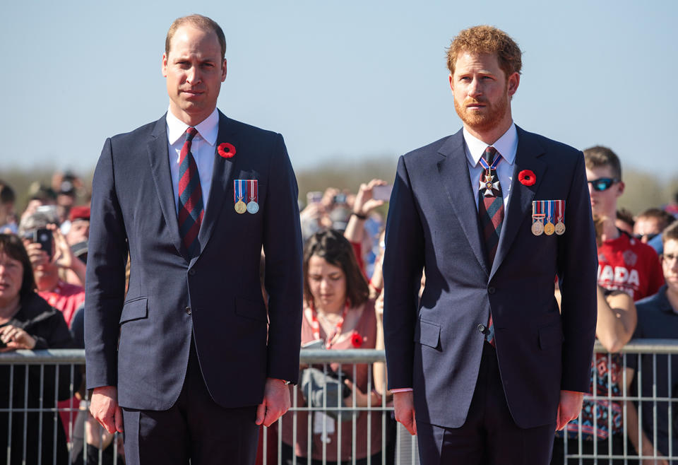 Prince William and Prince Harry standing beside each other