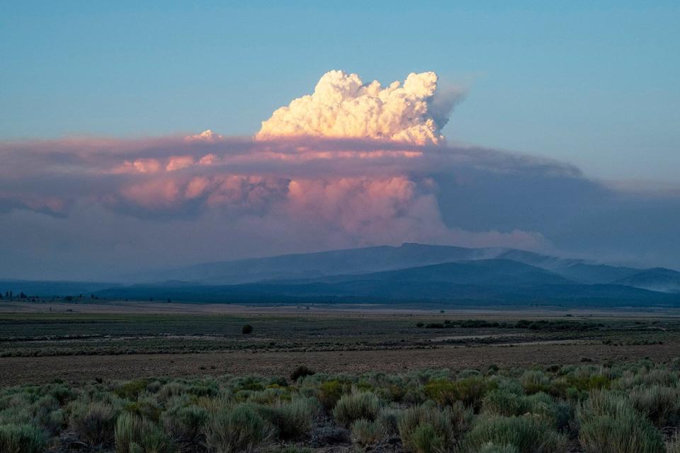 A pyrocumulus cloud from the Bootleg Fire drifts into the air near Bly, Oregon on July 16, 2021.