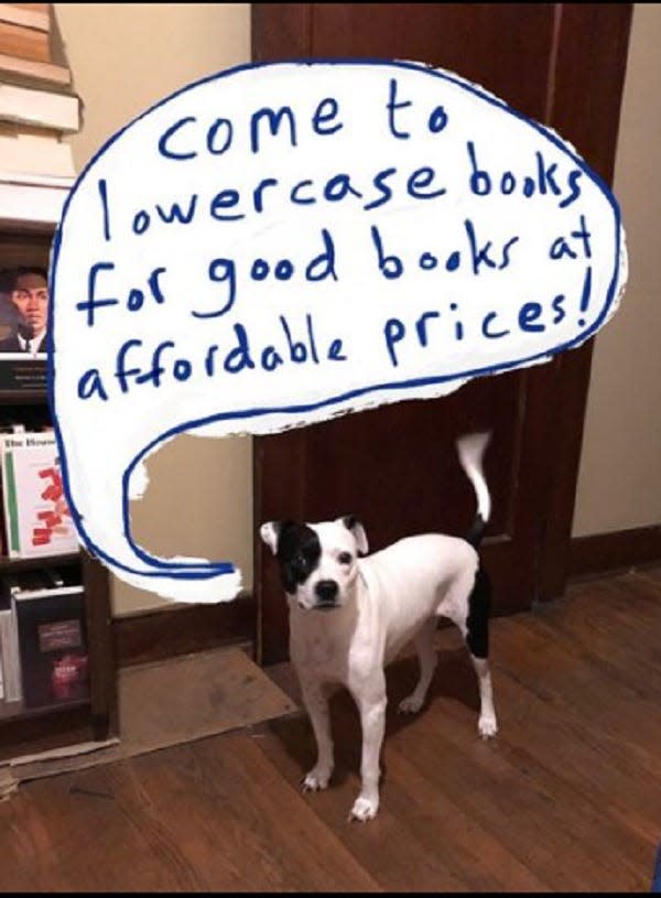 Lou the dog knows where her allegiance lies — lowercase books in the Parkridge neighborhood. March, 2022