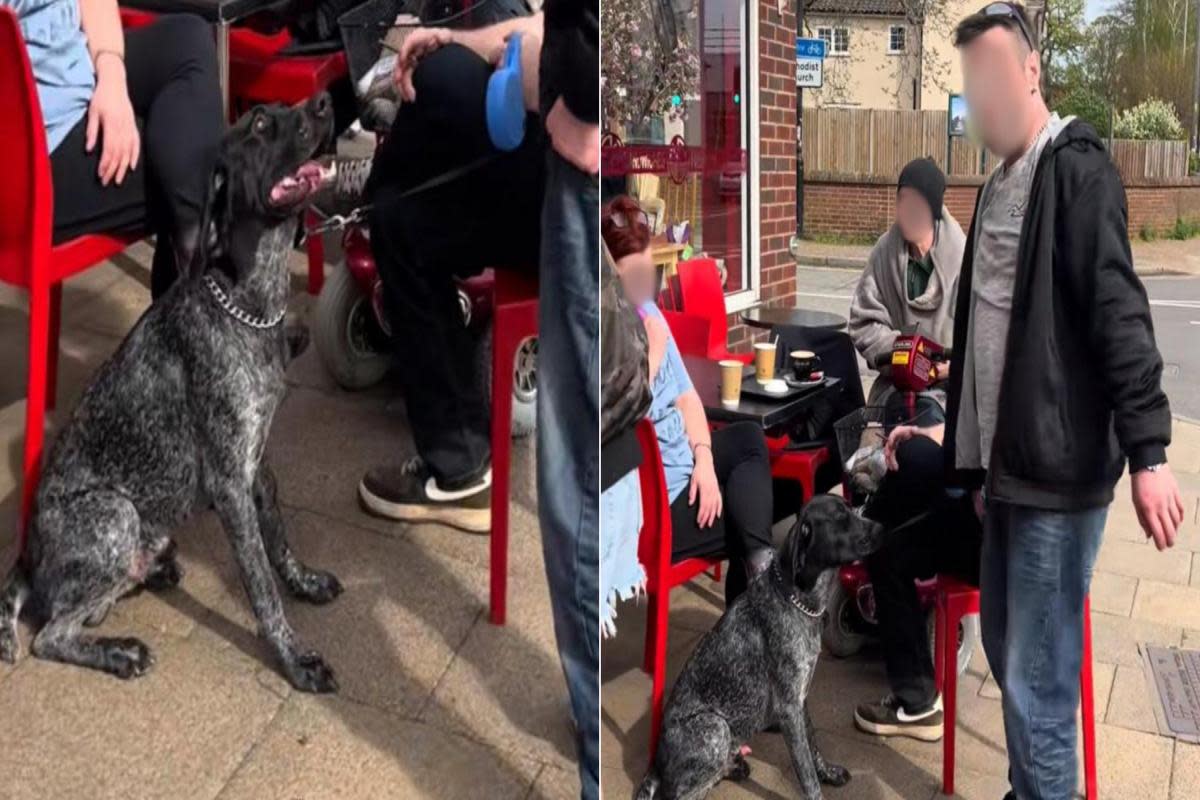 The video filmed in Diss has had 2.5m views on TikTok <i>(Image: Ross Lee)</i>