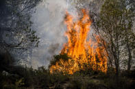 <p>A forest fire in the Luberon has ravaged more than 800 hectares between Pertuis and Mirabeau in the Vaucluse, July 24, 2017. (Lilian Auffret/SIPA/REX/Shutterstock) </p>