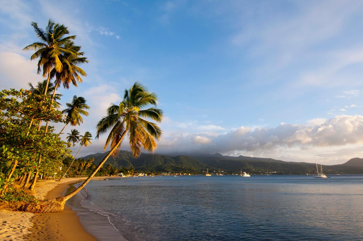 Beach with coconut palms near the village of Cabrits on the Caribbean island of Dominica in evening sunshine.