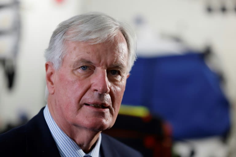 Michel Barnier has extensive political experience but faces an uphill battle (Ludovic MARIN)