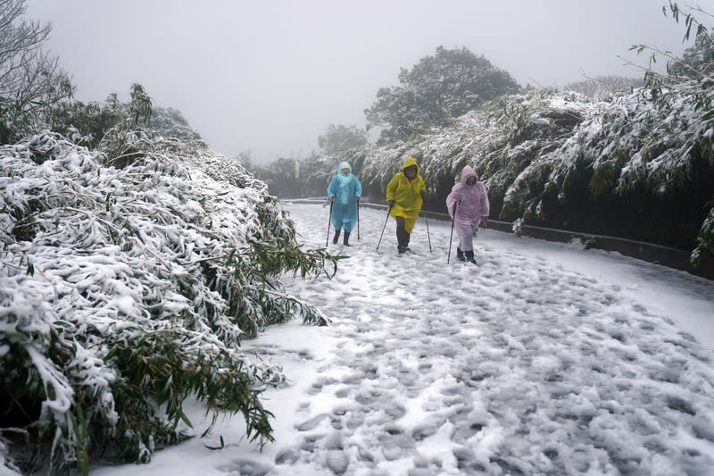 民眾上大屯山賞雪（圖／中央社）