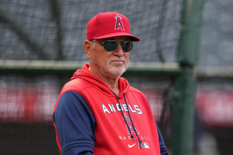 Joe Maddon has an overall record of 157-172 in parts of five sasons as Los Angeles Angels manager.