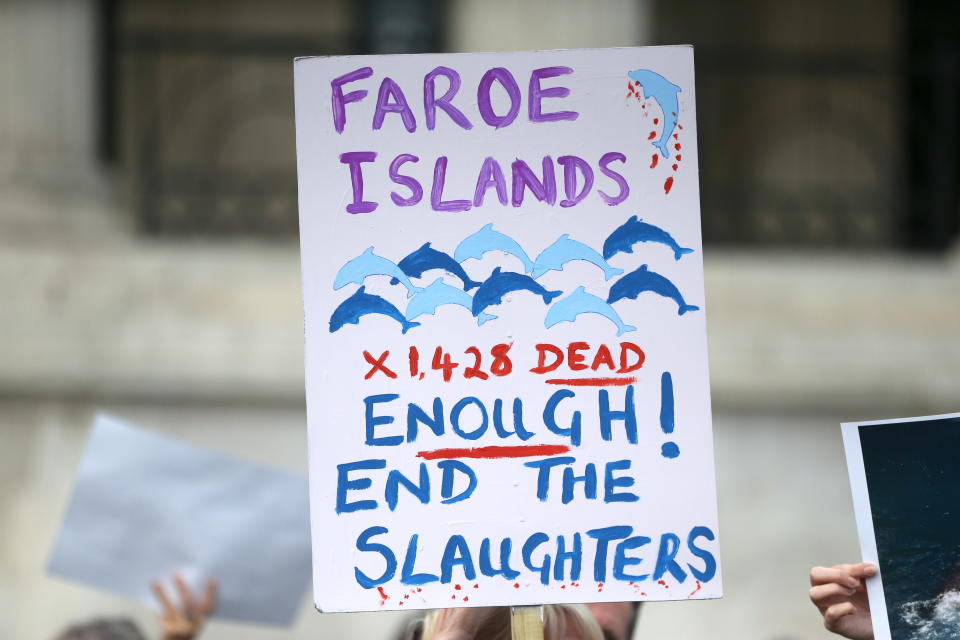 LONDON, UNITED KINGDOM - OCTOBER 16: Demonstrators holding placards and banners gather at the Trafalgar Square to protest slaughtering of hundreds of dolphins in Faroe Islands, and then to march towards 10 Downing Street in London, United Kingdom on October 16, 2021. Demonstrators demanded sanctions to be imposed on the Faroe Islands. (Photo by Hasan Esen/Anadolu Agency via Getty Images)
