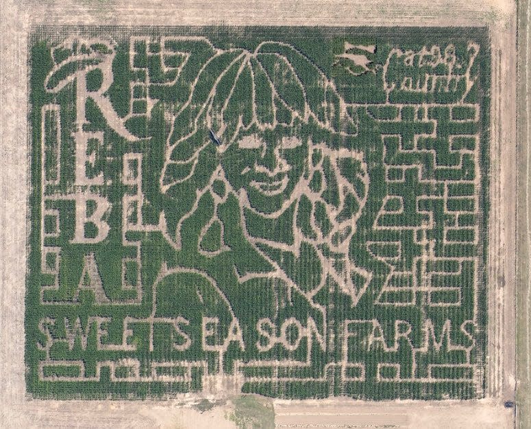 Reba McEntire will be the face of this year's themed corn maze at Sweet Season Farms in Milton.