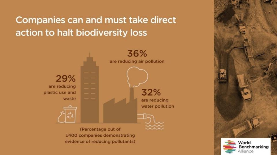 不少氣候行動和減碳方案，都有潛力同時兼顧生物多樣性。 圖片來源：WBA