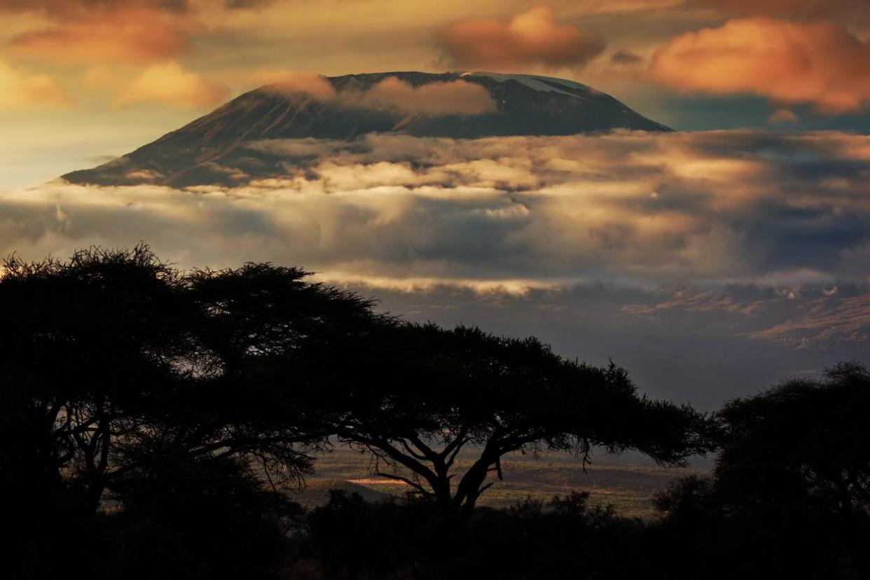 kilimanjaro sunset