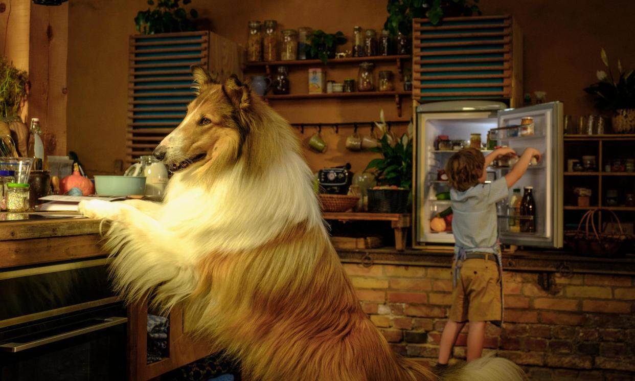 <span>The collie steals it… Lassie: A New Adventure.</span><span>Photograph: LCH2 Film UG</span>
