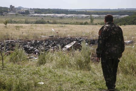 A pro-Russian separatist stands at the crash site of Malaysia Airlines Flight MH17, near the settlement of Grabovo in the Donetsk region July 19, 2014. REUTERS/Maxim Zmeyev