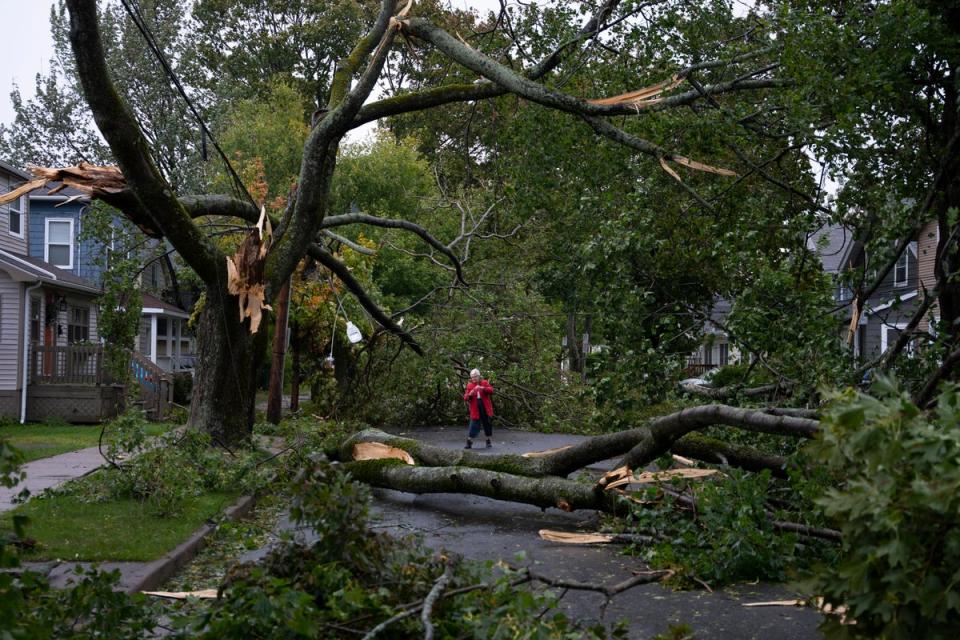 Georgina Scott surveys the damage on her street in Halifax as post tropical storm Fiona continues to batter the area on Saturday (AP)