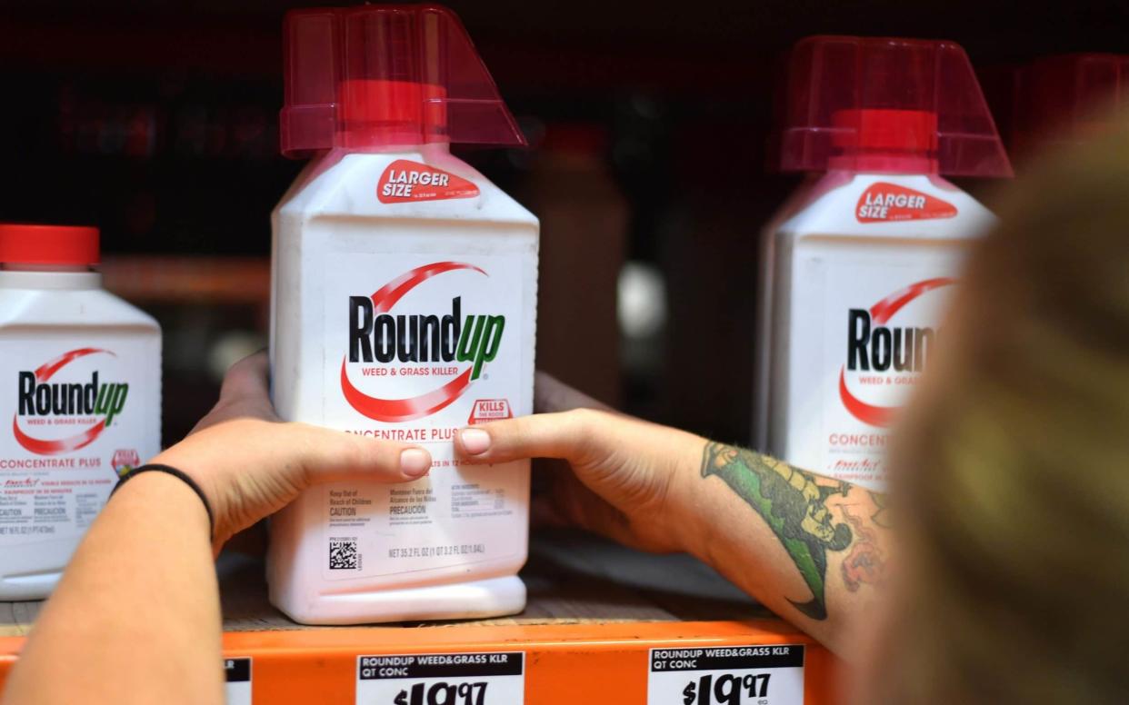 The 'historic' award was the latest in a series of court defeats for Monsanto over Roundup - AFP