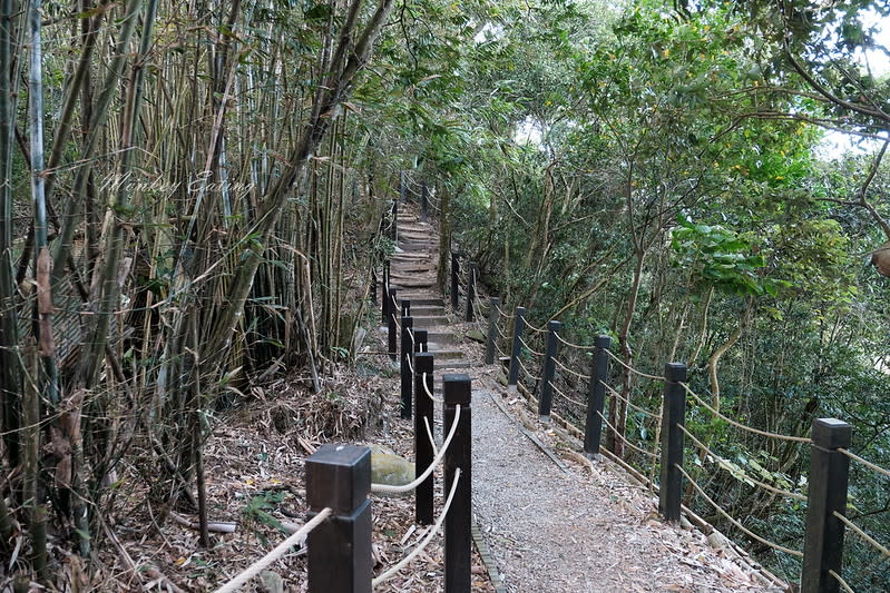 台中｜大坑5號登山步道