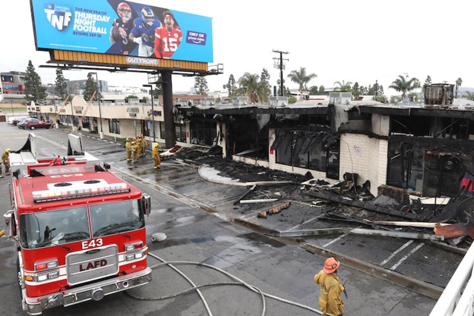 17 Cats Staying at a Pet Hotel Killed and a Firefighter Injured in Los Angeles Blaze