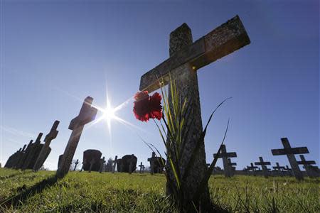 Graves are seen at the Silberloch World War One Military cemetery at the Vieil Armand "Hartmannswillerkopf" in the Alsace region in this November 13, 2013 file photo where around 30,000 French and German soldiers died in the Vosges mountain battles in 1915. REUTERS/Jacky Naegelen/Files