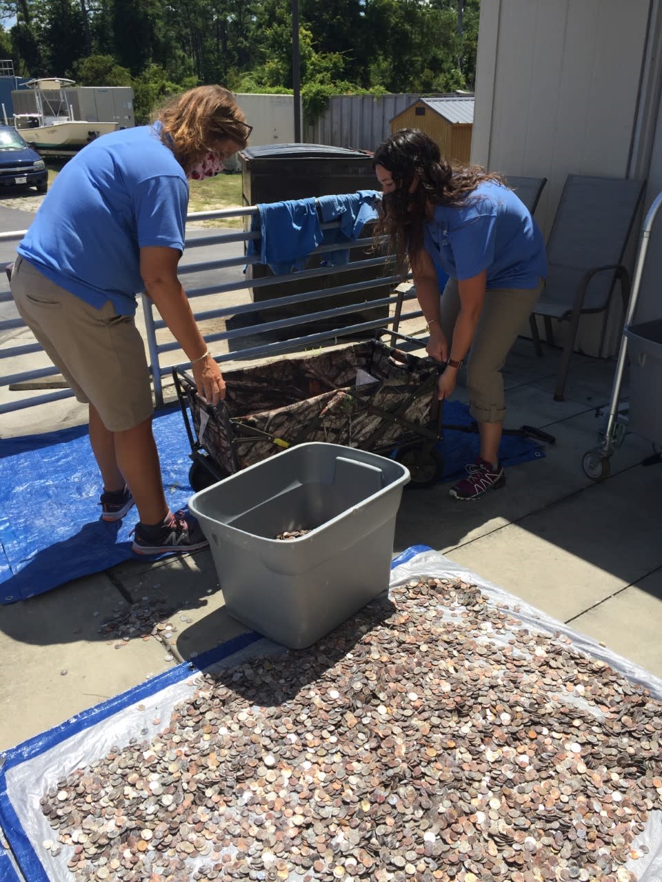 工作人員花了很長的時間在整理及清理硬幣。（圖／翻攝自NC Aquarium at Pine Knoll Shores 臉書）