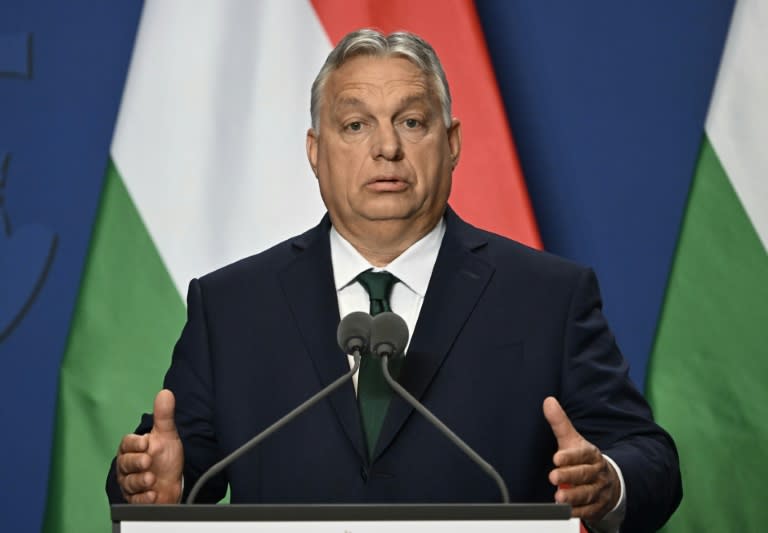 Le Premier ministre hongrois Viktor Orban, le 12 juin 2024 à Budapest (Attila KISBENEDEK)