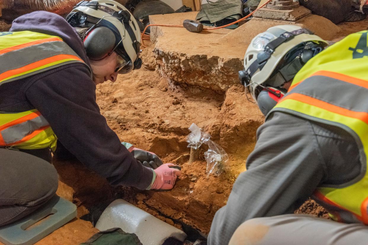 Archeologists work to uncover jars of cherries in the cellar of Mount Vernon.