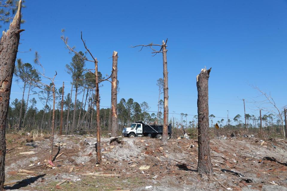 A tornado in April ripped apart trees in Bryan County. Local officials are encouraging residents to update their hurricane preparedness plan as the county is at risk of seeing another tornado come through.
