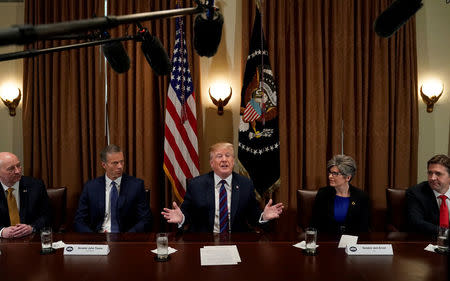 U.S. President Donald Trump speaks during a meeting with governors and members of Congress at the White House in Washington, U.S., April 12, 2018. REUTERS/Kevin Lamarque