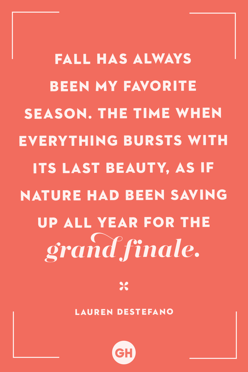 <p>Fall has always been my favorite season. The time when everything bursts with its last beauty, as if nature had been saving up all year for the grand finale.</p>