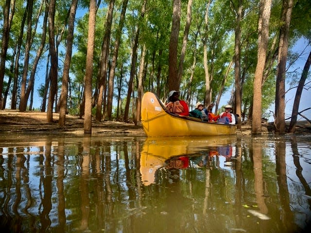 Quapaw Canoe Company has guided more than 30,000 people on the Mississippi River in the last 25 years.