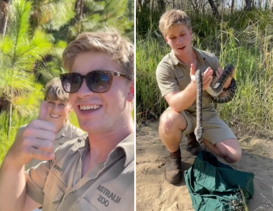 .Robert Irwin posing with his mum Terri Irwin / Robert Irwin wrangling a snake.