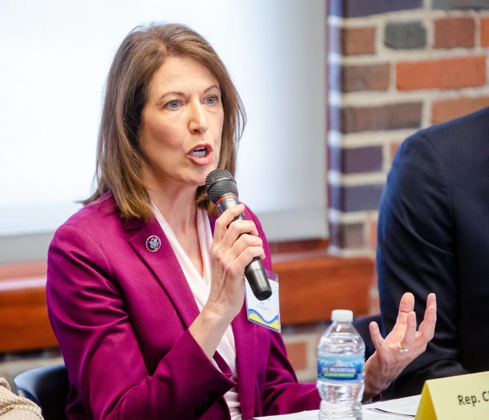 Rep. Cindy Axne, D-Iowa, speaks during an Iowa Congressional Panel on Israel at the Iowa Bar Association in Des Moines, Tuesday, April 19, 2022.