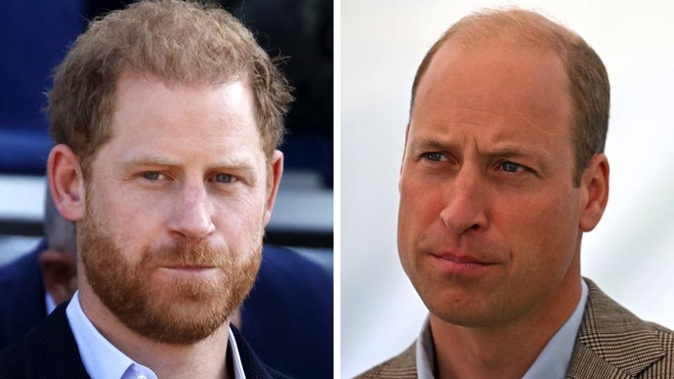 Prince Harry and Prince William