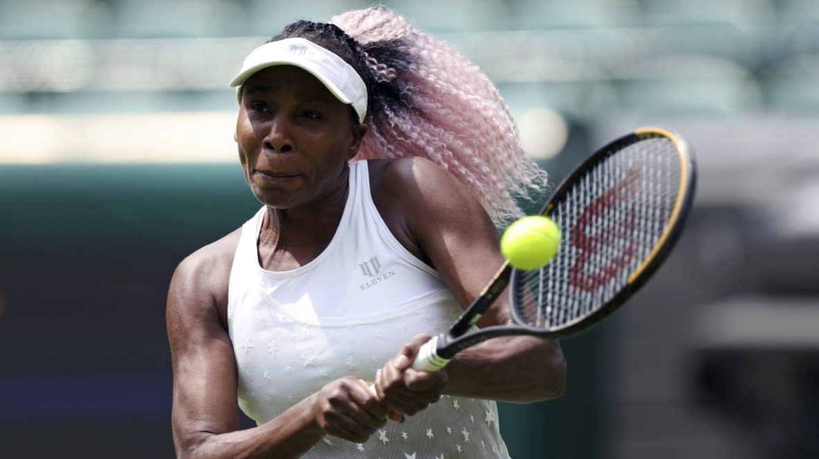 Venus Williams book