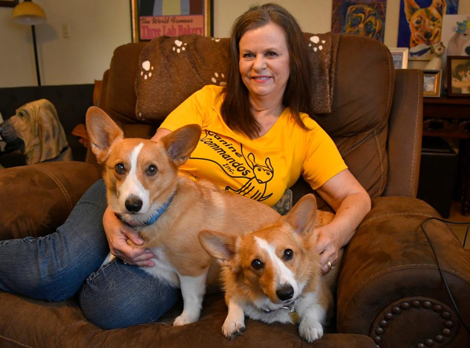 Virginia Hamilton of Canine Commandos, Inc. at home with her two rescued Pembroke Corgi siblings, Marlow and Moxie. After 20 years, the Canine Commandos is closing its doors, another victim of the COVID-19 pandemic and other challenges.