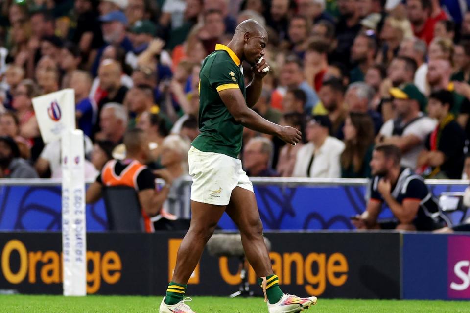 Makazole Mapimpi has been ruled out of the World Cup  (Getty Images)