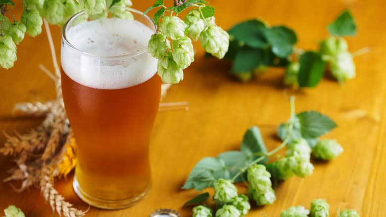 IPA with hops