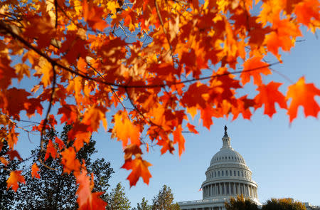 A day after the mid-term election, the dome of the U.S. Capitol is seen through autumn leaves in Washington, U.S., November 7, 2018. REUTERS/Kevin Lamarque