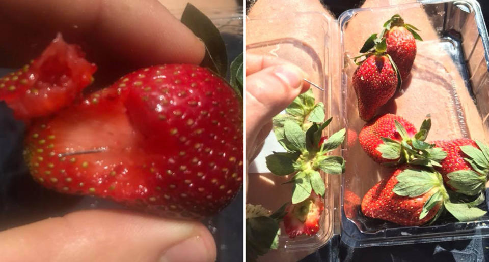 Sewing needles have been found in Berrylicious and Berry Obsession strawberries bought in Woolworths. Queensland Police believe they are coming from a farm in southeast Queensland. Source: Facebook/ Joshua Gane