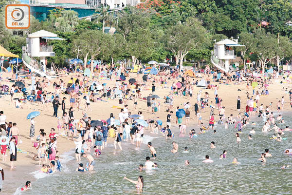 夏日炎炎，泳灘及泳池吸引大批泳客。