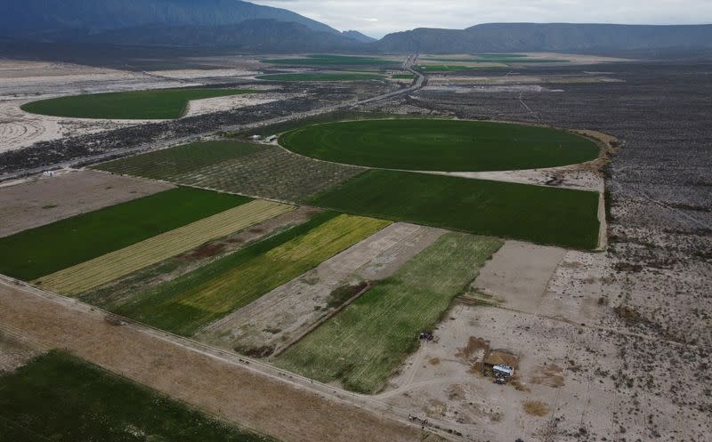 Water is disappearing from Mexico's vital desert oasis Cuatro Cienegas