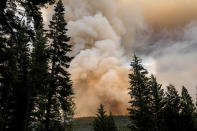 The Dixie Fire burns in Lassen National Forest, Calif., near Jonesville on Monday, July 26, 2021. (AP Photo/Noah Berger)