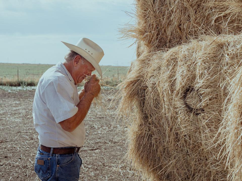 scott stone rancher in cowboy hat smells handful of hay in front of overhead stack of hay bales