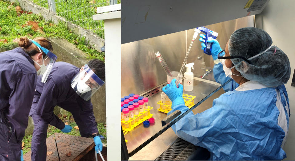 The NEA has initiated a pilot surveillance programme to screen wastewater samples for SARS-CoV-2, the virus causing COVID-19. (PHOTOS: NEA)