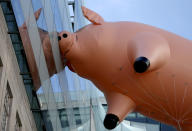 <p>The Pink Floyd inflatable pig floats next to Broadcasting House to promote their new exhibition at the V&A museum, in London, Britain May 10, 2017. (Photo: Neil Hall/Reuters) </p>