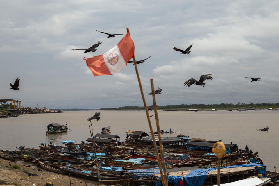 A flock of vultures flock near a Peruvian national flag at the main port in Pucallpa, in Peru's Ucayali region, Monday, Oct. 4, 2020. As Peru grapples with one the world’s worst COVID-19 outbreaks, another epidemic is starting to raise alarm: Dengue. (AP Photo/Rodrigo Abd)