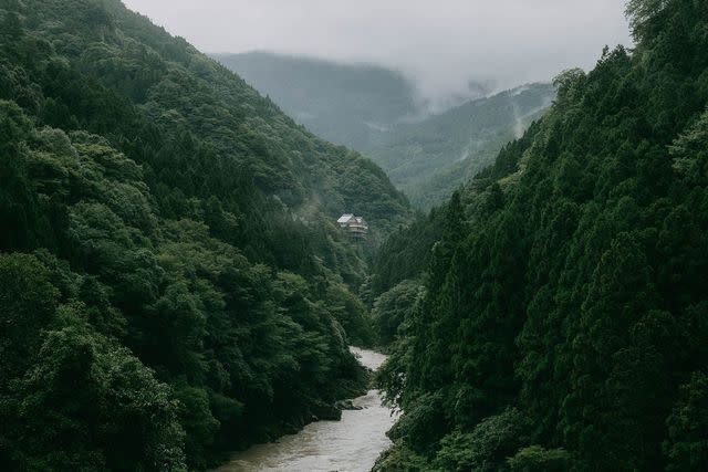 <p>Ippei Naoi/Getty Images</p> A river running through the mountains in the Iya Valley, Shikoku, Japan