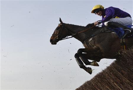 Jockey Davy Russell riding Lord Windermere clears the final fence, second time around the course on the way to winning the Gold Cup at the Cheltenham Festival horse racing meet in Gloucestershire, western England March 14, 2014. REUTERS/Toby Melville